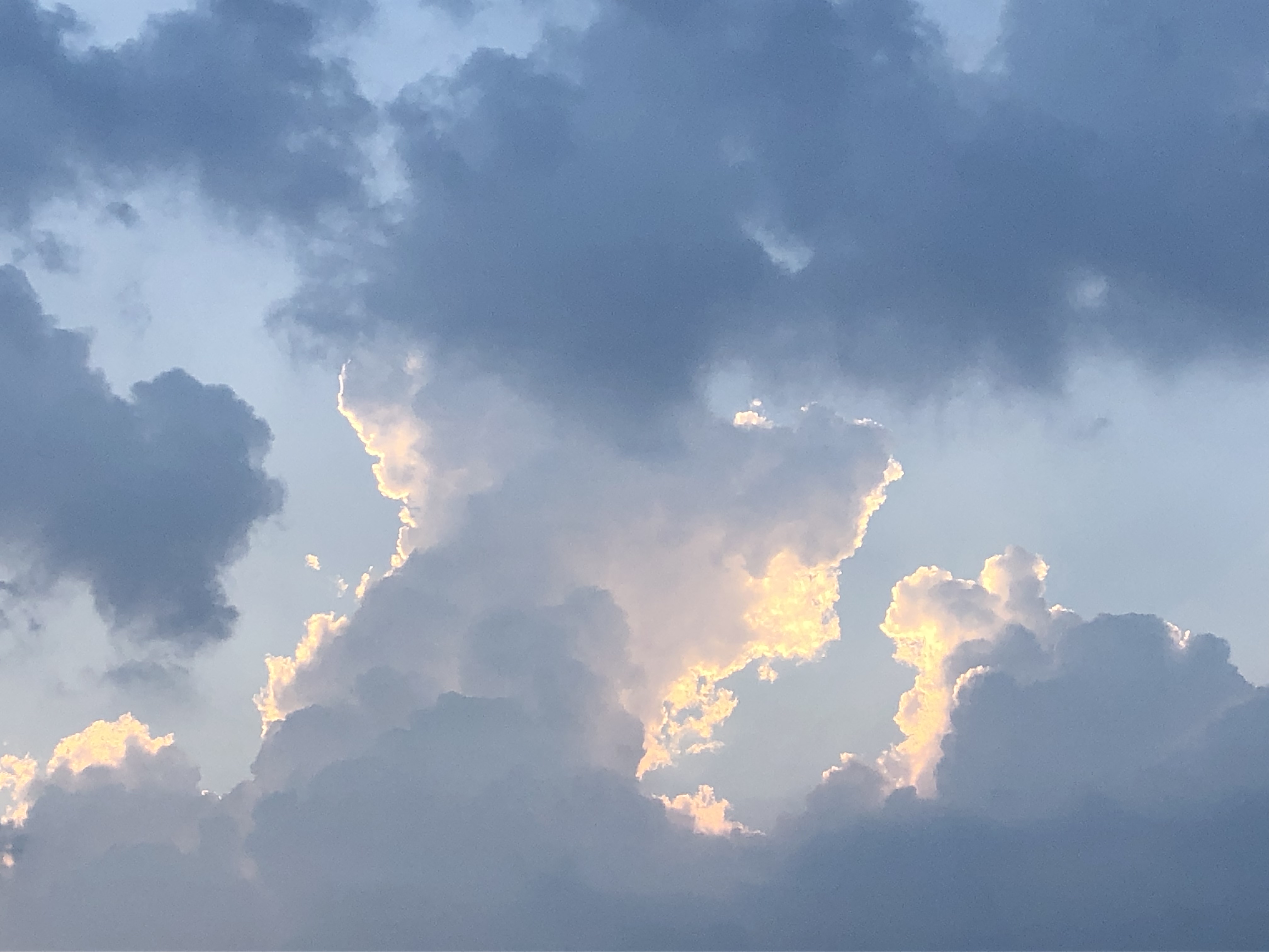 私の生涯は極めて簡単なものであった 哲学者 西田幾多郎の言葉より 気づきと学びのブログ